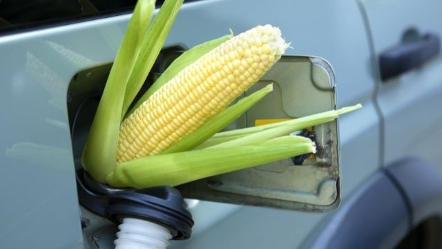 Bioethanol