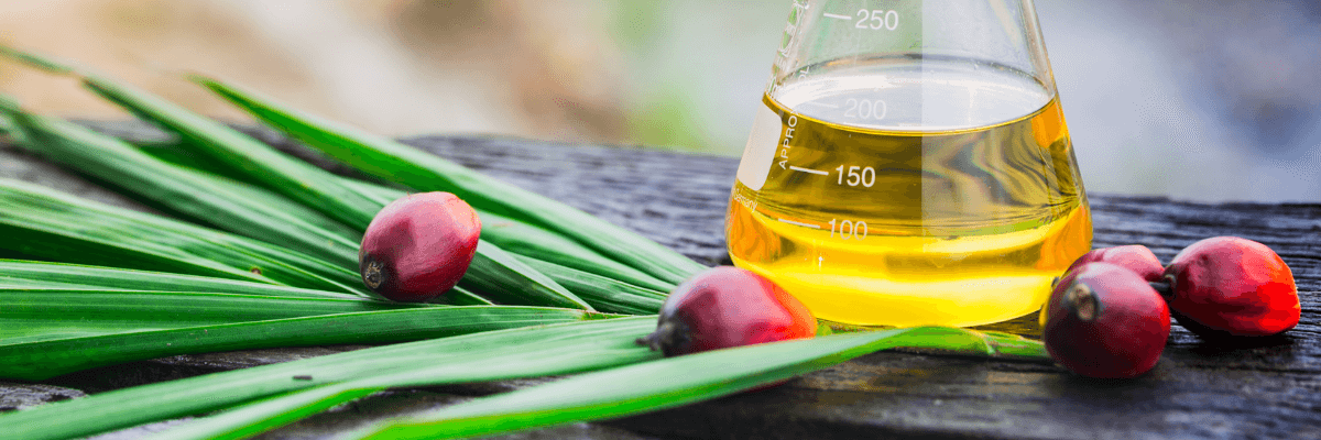 Edible Oil Day Alfa Laval - 1200 x 400