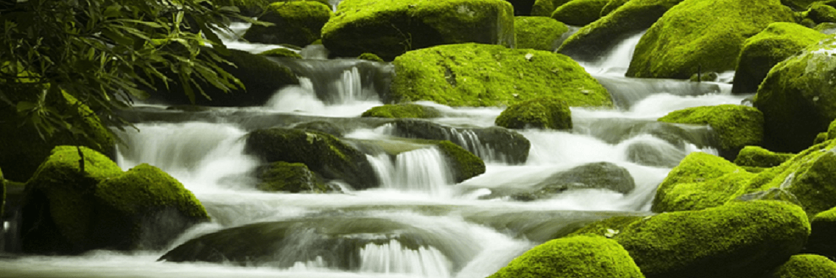 1200X400 banner