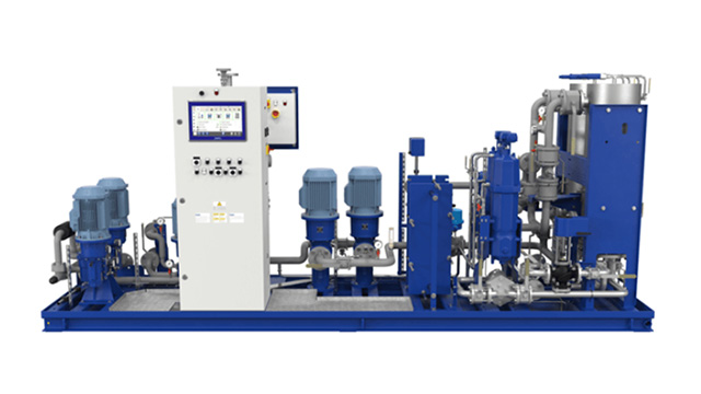 Dry dock services for marine fuel supply systems