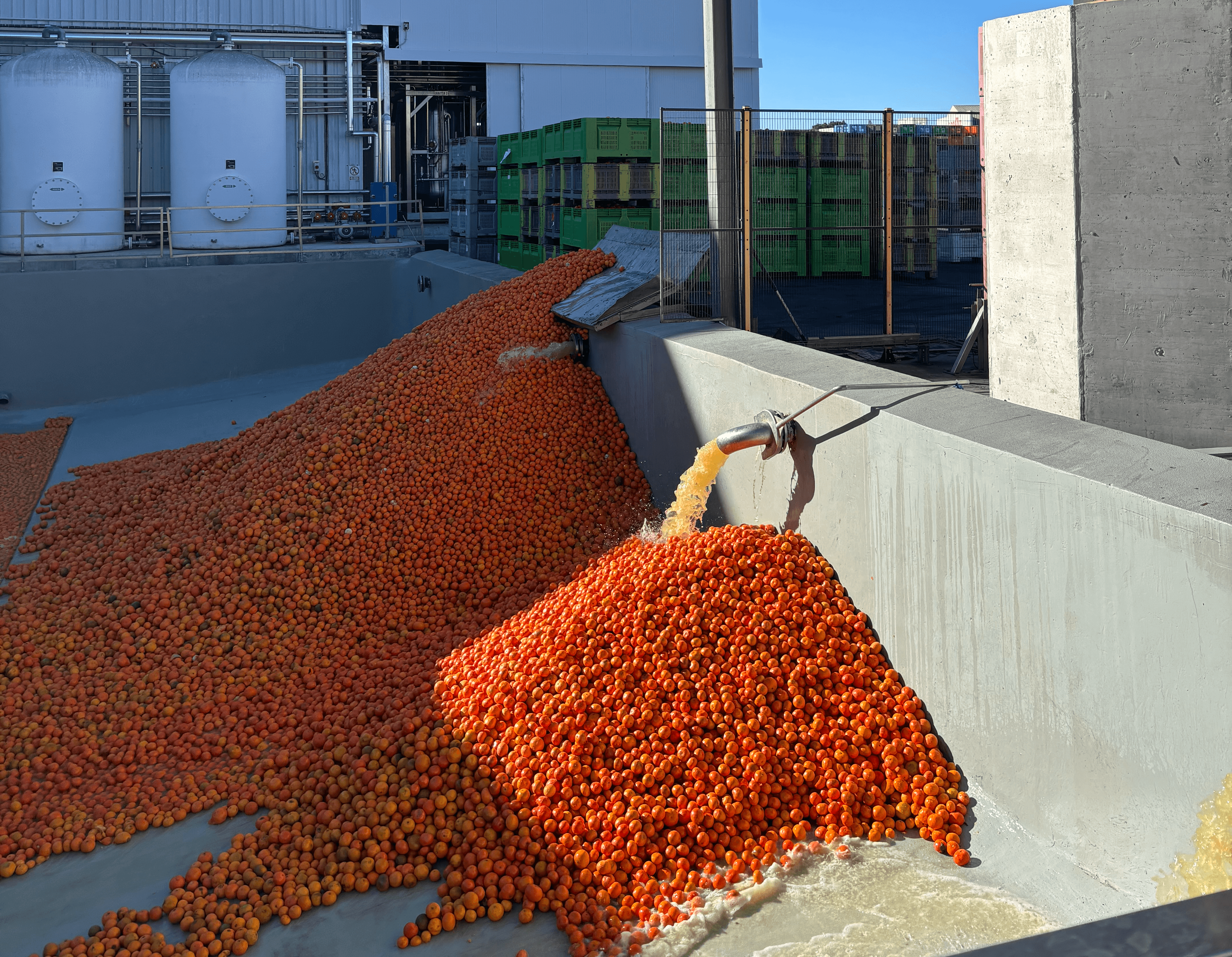 image fruittech edited
