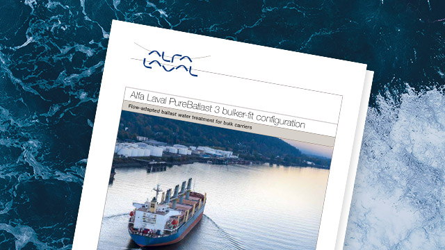 Bulker fit leaflet