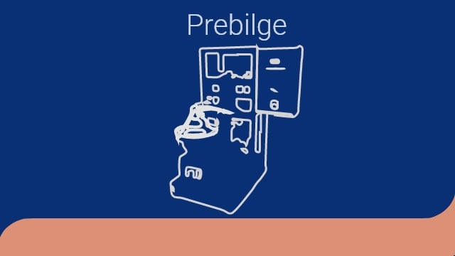 PreBilge Vign