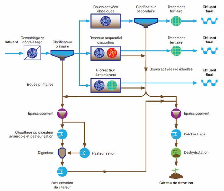 etapes du traitement des eaux usees en STEP