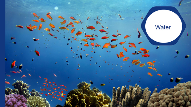 Water marine sustainability 640x360