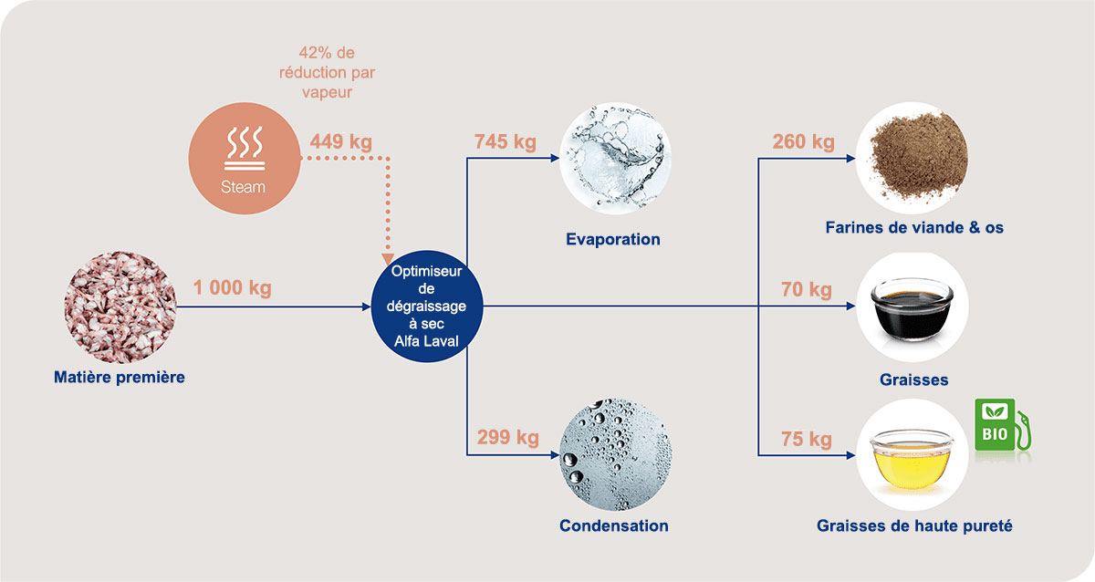 schema du rendement du systeme de degraissage à sec de viande et matières grasses protéinées Alfa Laval