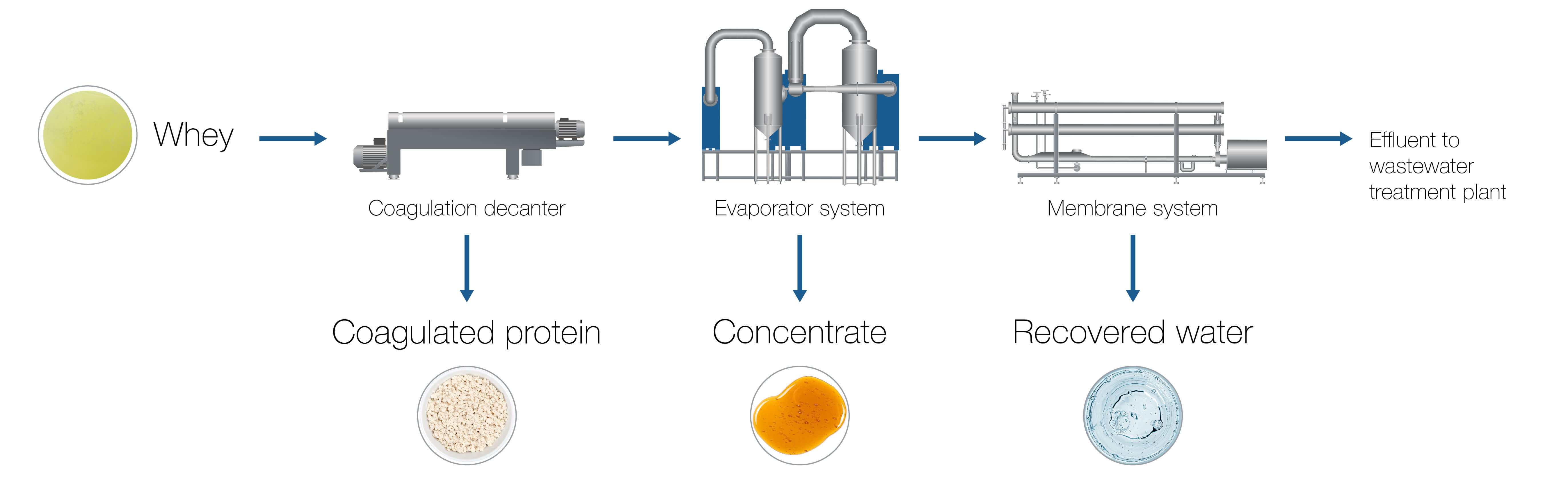 AL_Process & Flowchart_Plant-based_230523_2-C.jpg