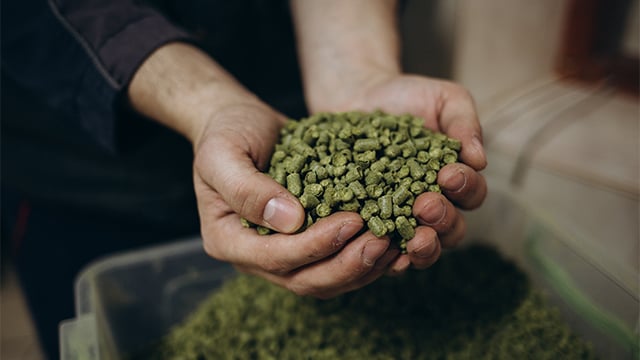 a-man-holding-beer-crops.jpg