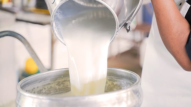 small-scale-dairy-milk-and-cream-processing.jpg